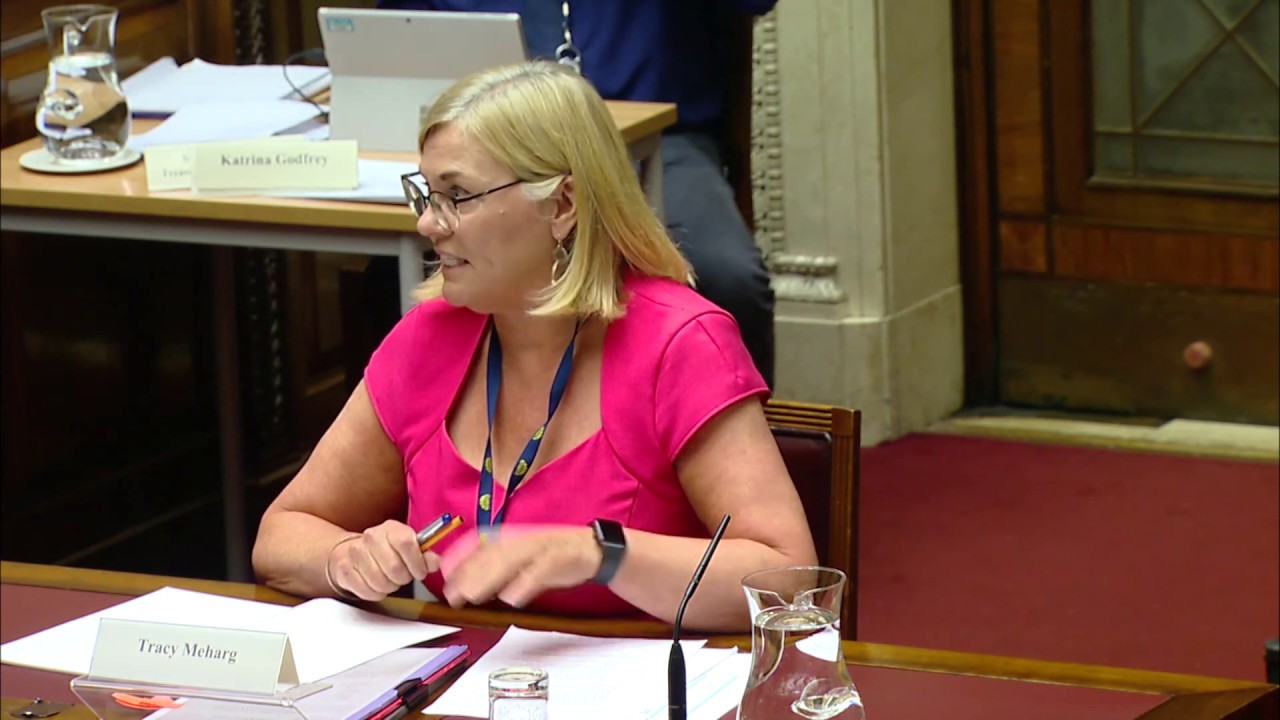 Public Accounts Committee Meeting Wednesday 8 July 2020 YouTube