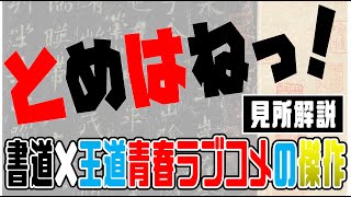 【見所解説】書道漫画の金字塔『とめはねっ！徹底解説②』