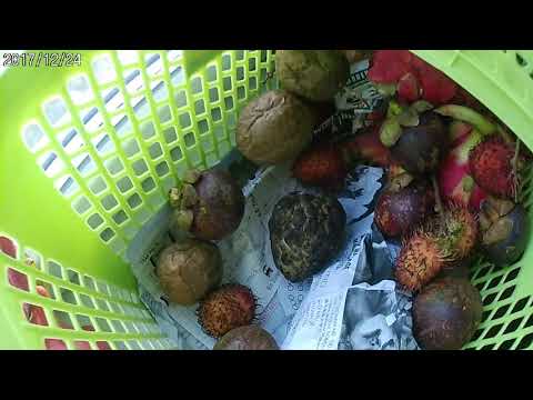 фрукты во вьетнаме фото