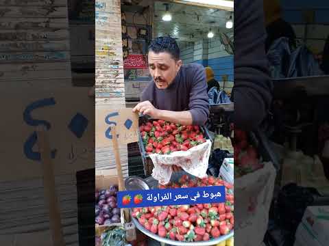 تحطيم أسعار الفراولة عند فكهاني الغلابة 40جنيه ولسه هترخص كمان