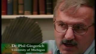 Evolution The Grand Experiment - Part 2