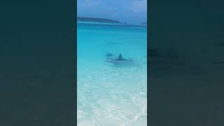 Nassau Bahamas 2K17