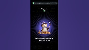 Hamster combo today | 11 September | 12 September | Hamster Kombat daily combo | Cipher | Minigame |