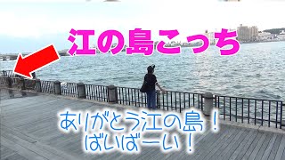 しらすが好きすぎて噂を聞きつけて江の島まで来てみたよ！そしてミーミ本格的に占ってもらったんだけど…ｗ