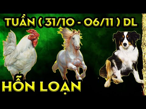Video Tu Vi Hang Tuan, 3 Con Giáp Đoán Chuẩn Mệnh Trời,... - youtube