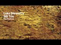Luke stewarts silt trio  roots official audio from the bottom cuneiform records