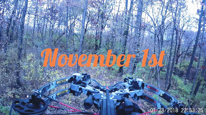 Big Illinois Buck in Rut- Crossbow Hunt.