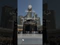 Ayat- al-Kursi by Emilio Ibrahim & reaction peace full 🤲#islamicvideo #ayatulkursi #quranrecitation