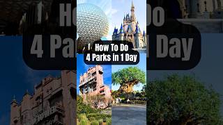 How to do the 4 Parks in 1 Day Challenge🤩🎢 #disneyparks #disneychallenge #disneyworld #disneytips
