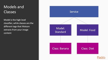IBM Watson for Beginners : Understanding Visual Recognition | packtpub.com