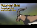 Pyrenean Ibex. The animal that went extinct twice.