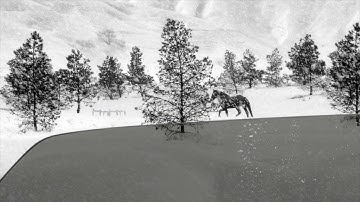 24 Frames | Trailer | New Release