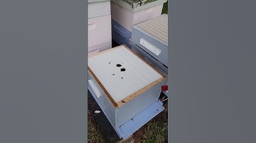 Adding a Queen Excluder