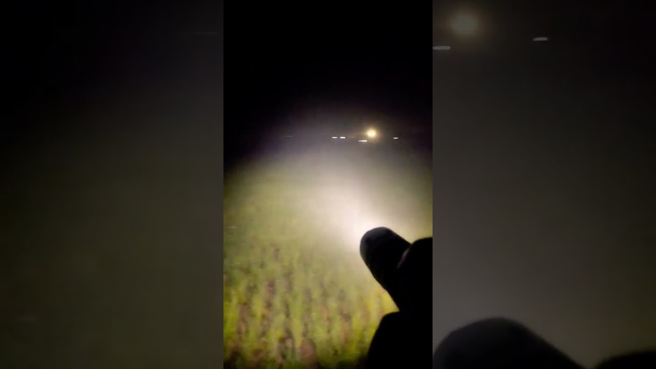 sofirn sc33 beam shot