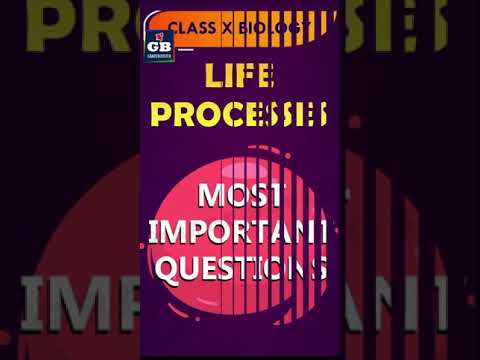 #Life Processes CBSE