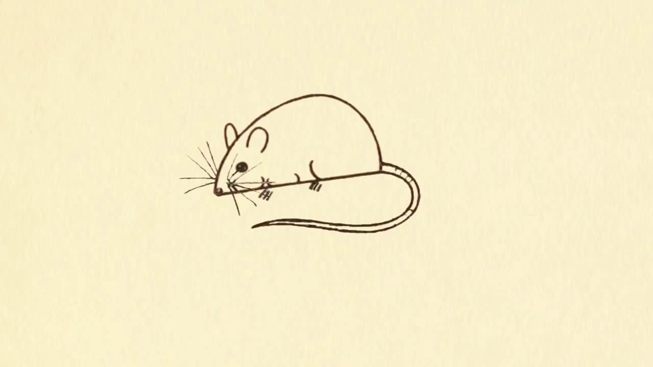 Как рисовать мышку из цифр