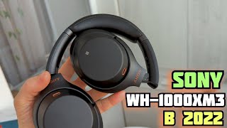 Sony WH-1000XM3 в 2022 | Сравнение с DALI IO-6, что в итоге оставил себе?