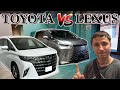TOYOTA ALPHARD или LEXUS LM | обзор из Японии