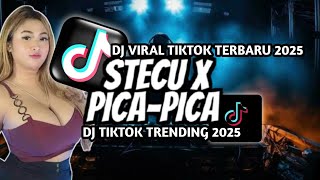 Download lagu DJ STECU STECU X PICA PICA REMIXFULL BASS VIRAL TIKTOK TERBARU -TAMBAKBET 2025