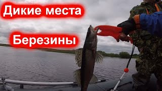 дикие места на реке Березина