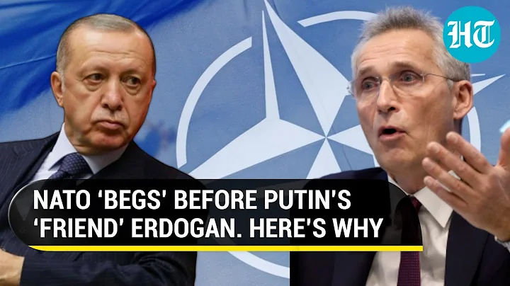 NATO Chief pleads Putin’s ‘friend’ Erdogan to let Sweden, Finland join military bloc | Details - DayDayNews