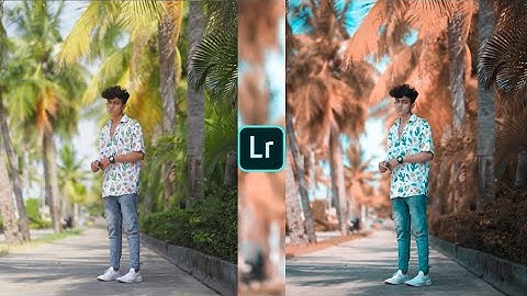 Lightroom moody brown effect photo editing | Lightroom editing | Lightroom mobile tutorial