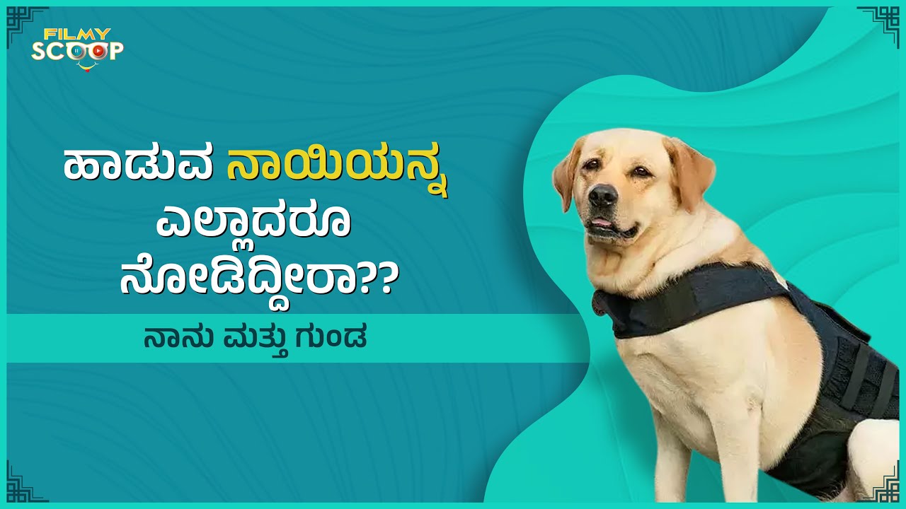 ನಾಯಿ‌ ಹಾಡೂ ಹಾಡತ್ತೆ...| Filmy Scoop