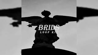 [FREE] Brids Loop Kit | FRIENDLY THUG 52 NGG, BUSHIDO ZHO, Baby Melo