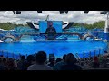 SeaWorld Reopening Day 2nd Orca Encounter Show