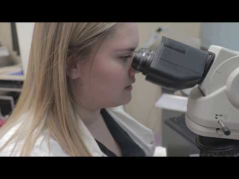 What does a Medical Laboratory Scientist do?