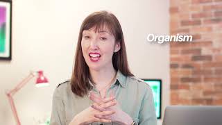 Break down Atomic Design (Chapter One, Video 3: Design the visual side of experiences)