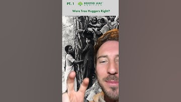 Were Tree Huggers Right? Part 1 Video created by @Breathdaddyy #tree #trees