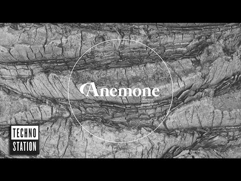 Rene Wise - Decimal