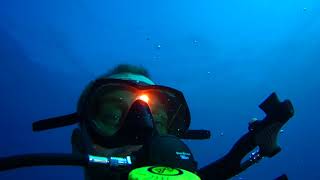 Solo Reef Dive Boynton Beach Reef