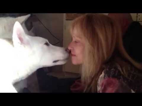 Playing With Wolves camera iphone 8 plus apk