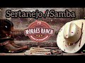 Cd bnus samba  sertanejo vol01 especial mylord pressure of bass