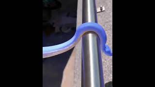 Blue Python Snake #animals #youtube #shorts #snake