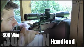 Reloading: Try to find the best .308Win handload for a Steyr CLII