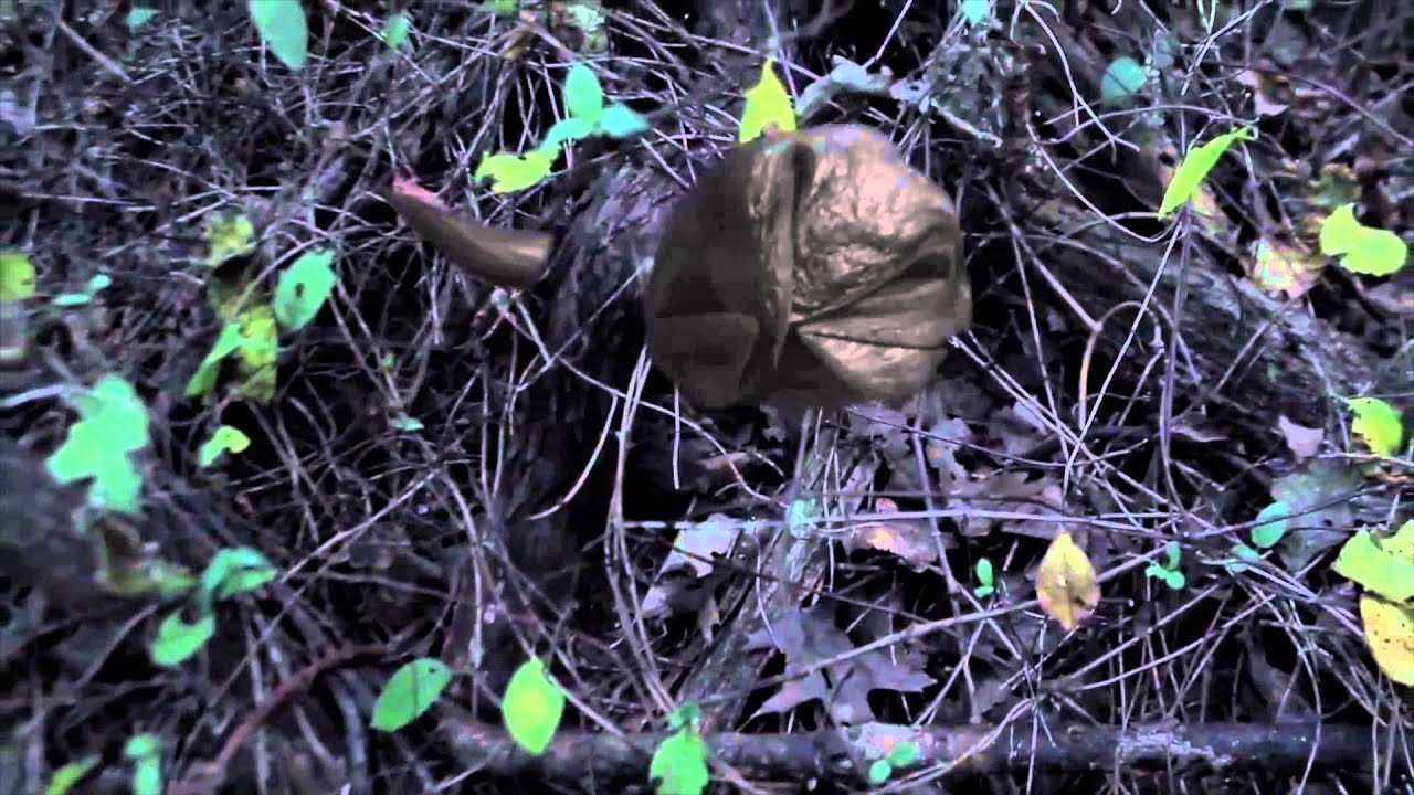 Zach Will's VFX Reel