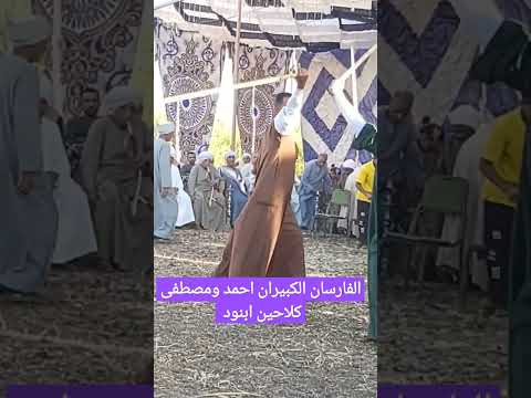 شاهدوا أقوى دور تحطيب من الفارسين احمدومصطفى أيوب كلاحين ابنود قنا 