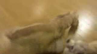 20131206 1