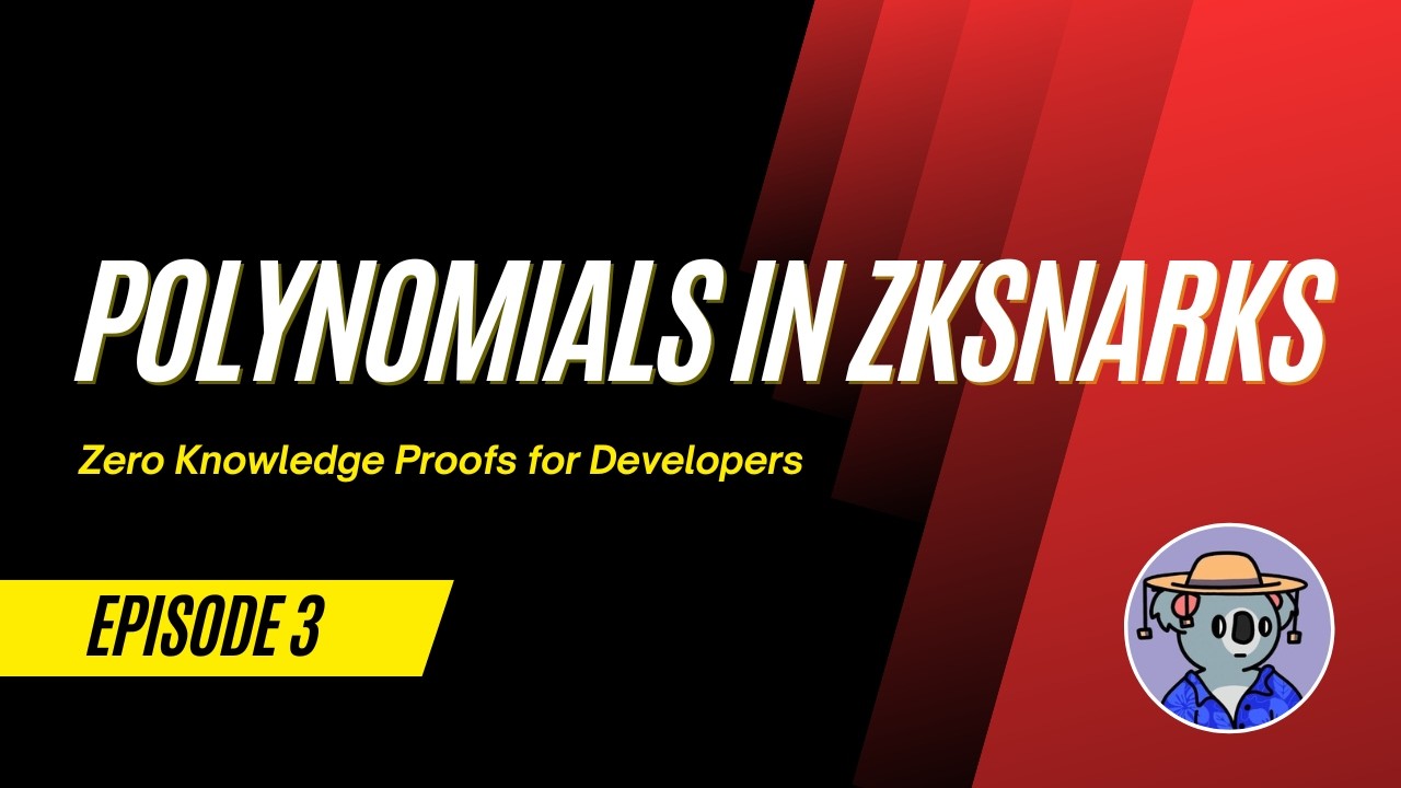 Polynomials in zkSNARKs | Zero Knowledge Proofs for Developers (Episode 3)