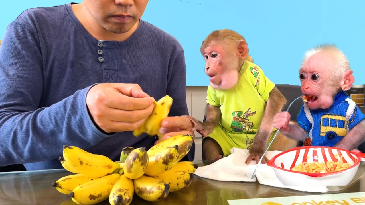 So Sweet! Bibi and the Baby Monkey Ask Mom to Cook a Simple Banana Dish Full of Love