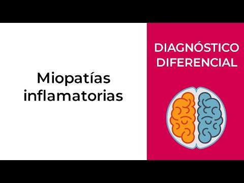 Video: Enfermedad Muscular Hereditaria (miopatía No Inflamatoria) En Labradores Retriever