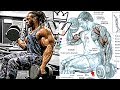 Bigger Arms Workout | Biceps & Triceps