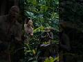 Просто тушите весь свет 🤣 | Jumanji #jumanji #film #shorts #funk #music #рек  #дмитриймагнитола Mp3 Song