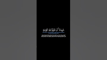سورة الأعراف:الآية[١٧٢-١٧٤]#القرآن_الكريم #الفرقان #سورة_الأعراف #محمد_النقيدان #تلاوة #آيات