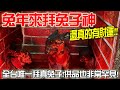 【淘貴日常】EP26 兔年就拜兔子神!!財運真的有變好欸!!全台唯一拜真兔子的廟!連供品都非常特別!!