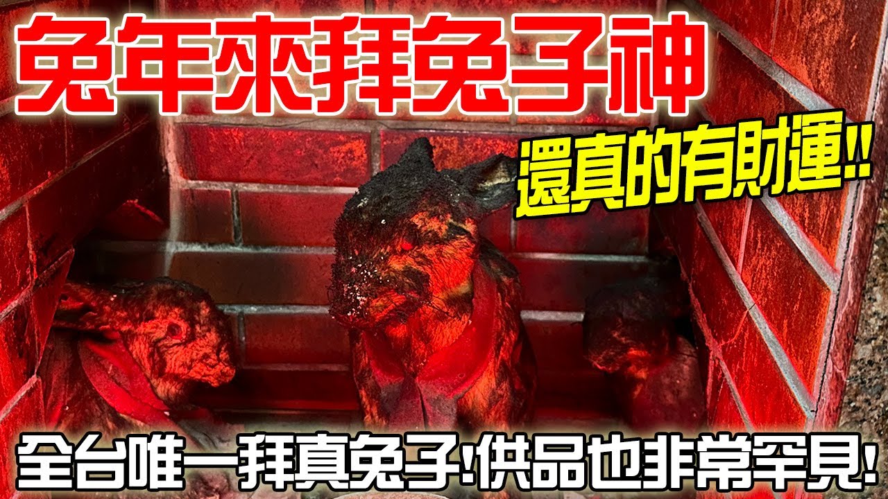 【淘貴日常】EP26 兔年就拜兔子神!!財運真的有變好欸!!全台唯一拜真兔子的廟!連供品都非常特別!!