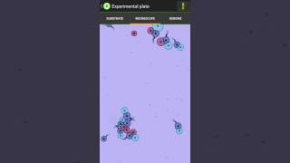 Wierd Fishes - Evolving Swimmers From Cell Contamination screenshot 4